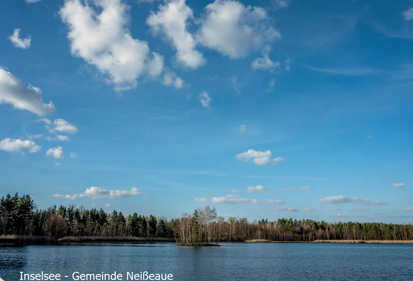 Inselsee mit Wald am gegenüberliegenden Ufer